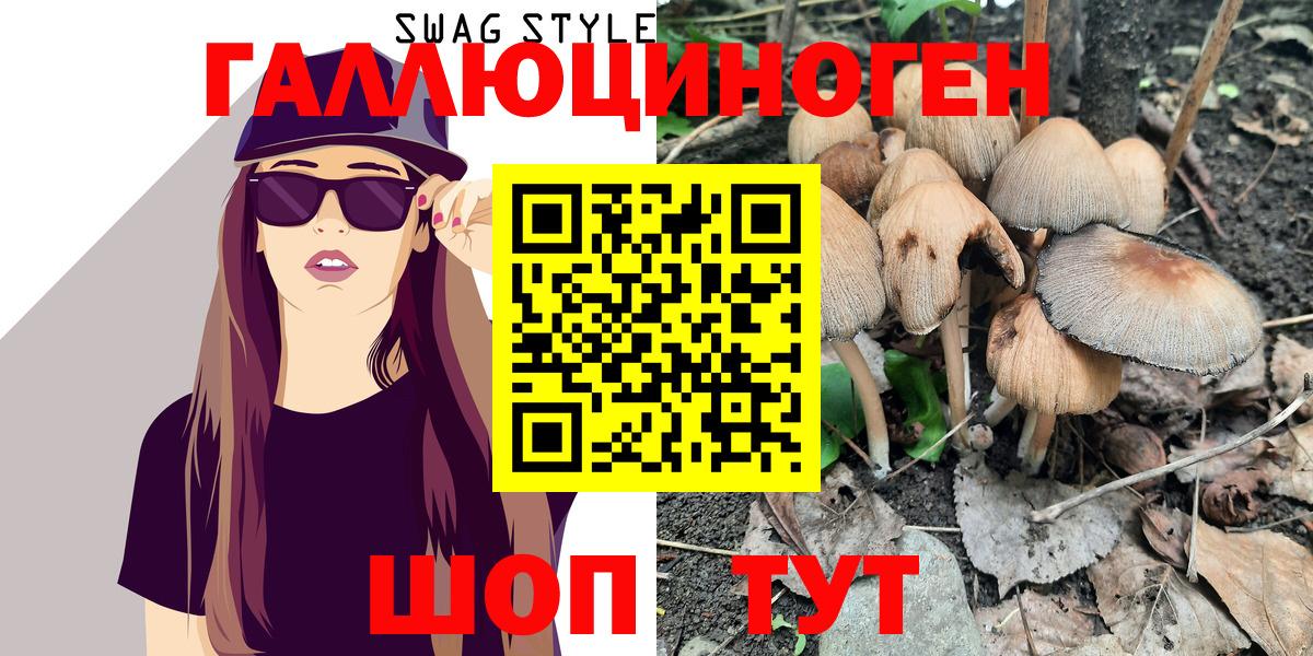 Псилоцибиновые грибы Psilocybe  Вход с VPN  Муром 
